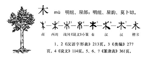 木字|木字形演变字源